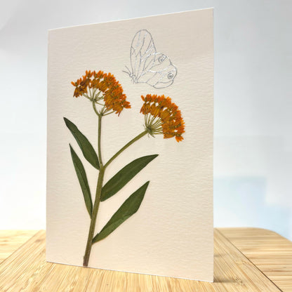 Pressed Wildflower Cards